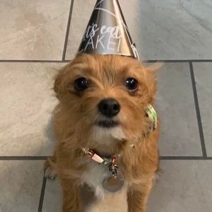 Meet your Posher, Jill